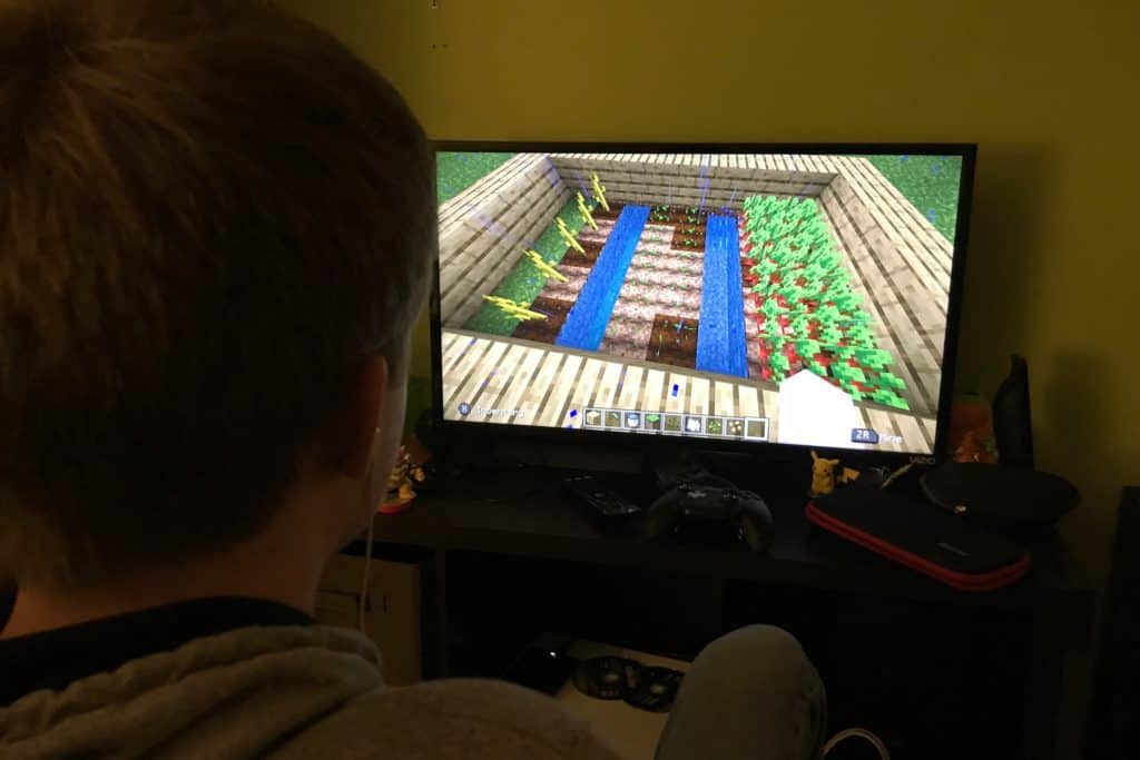Designing a garden in Minecraft on the computer