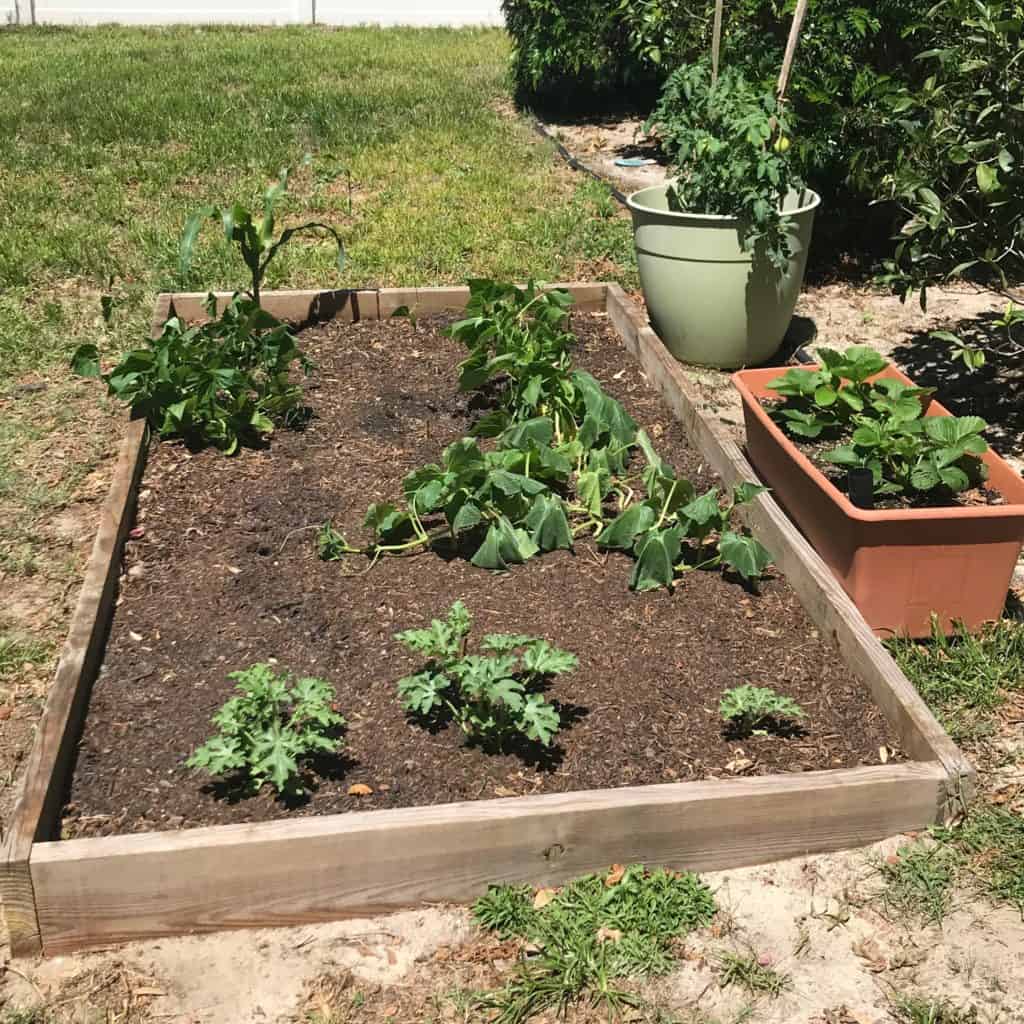 Build your own inexpensive and easy raised garden bed